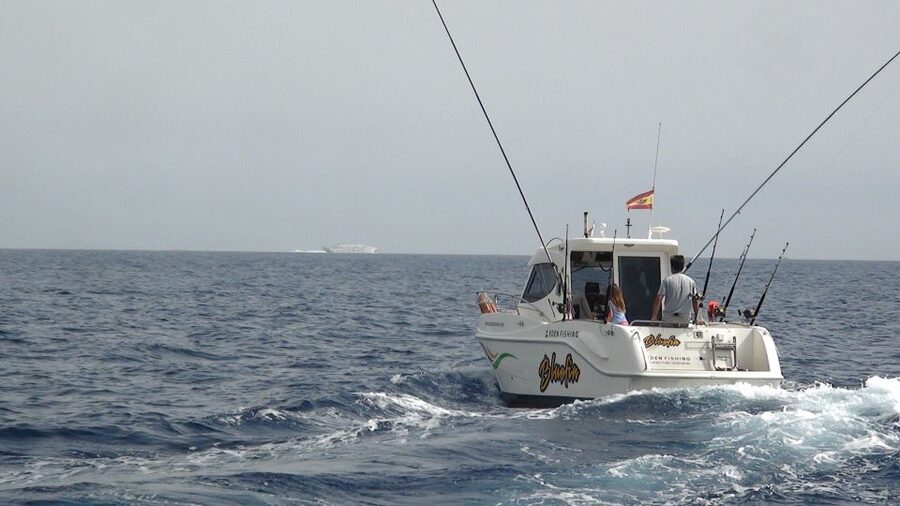 Adeje: 3.5–Hour Professional Fishing Experience - Fishing Tenerife’s coast from Puerto Colón