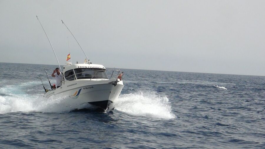 Adeje: 3.5–Hour Professional Fishing Experience - Species you might catch around Tenerife