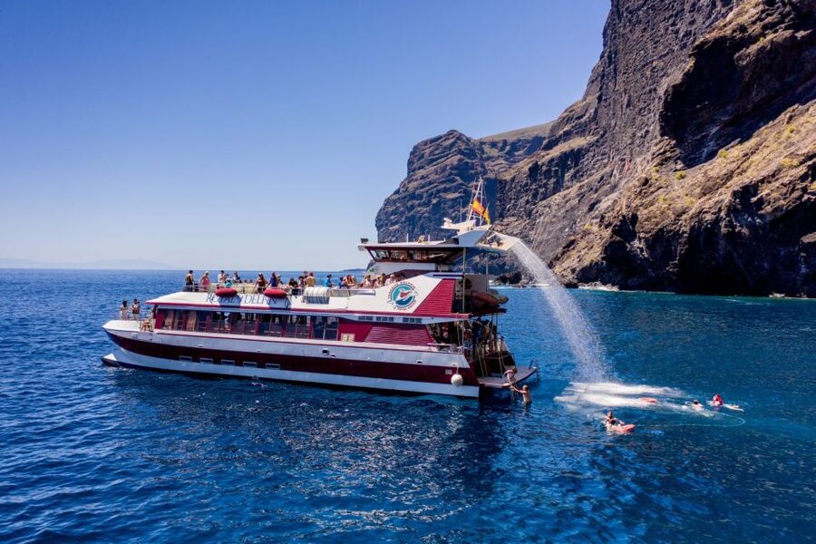 Adeje: Whale and Dolphin Watching Cruise with Lunch and Swim - Is $59 good value?