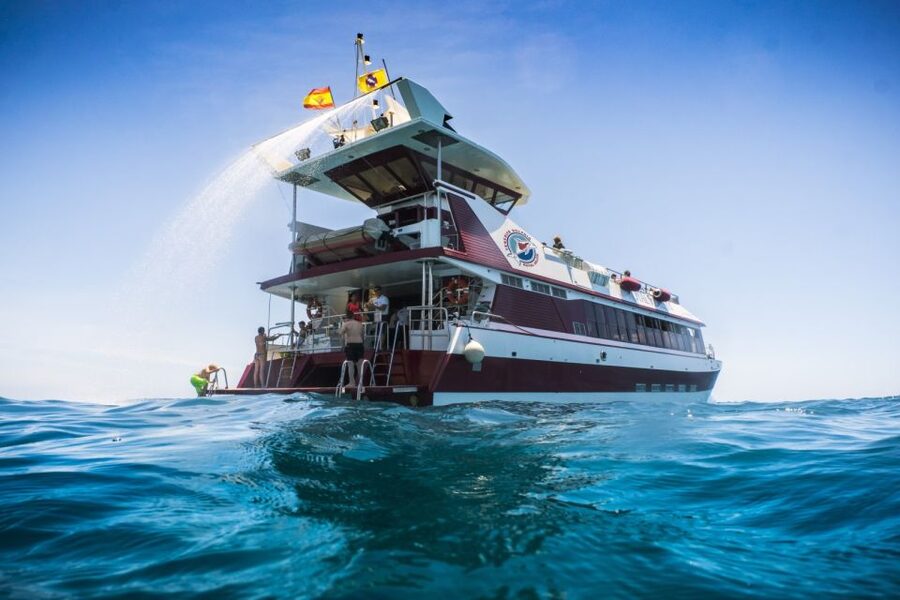 Adeje: Whale and Dolphin Watching Cruise with Lunch and Swim - Why Tenerife’s southwest coast is good for whale watching