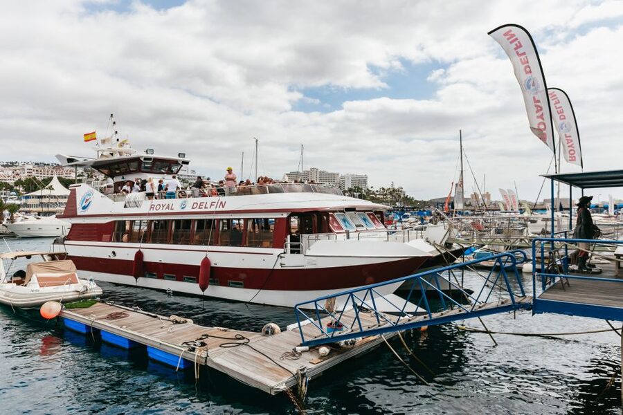 Adeje: Whale and Dolphin Watching Cruise with Lunch and Swim - The 4.5-hour Masca and Los Gigantes route