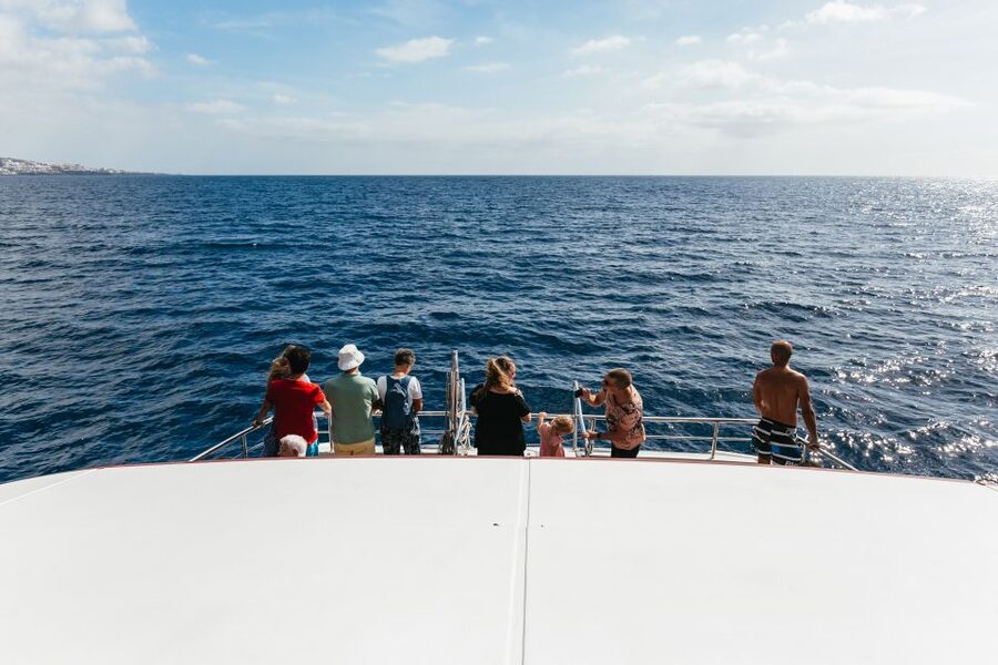 Adeje: Whale and Dolphin Watching Cruise with Lunch and Swim - The submarine windows and the best viewing strategy