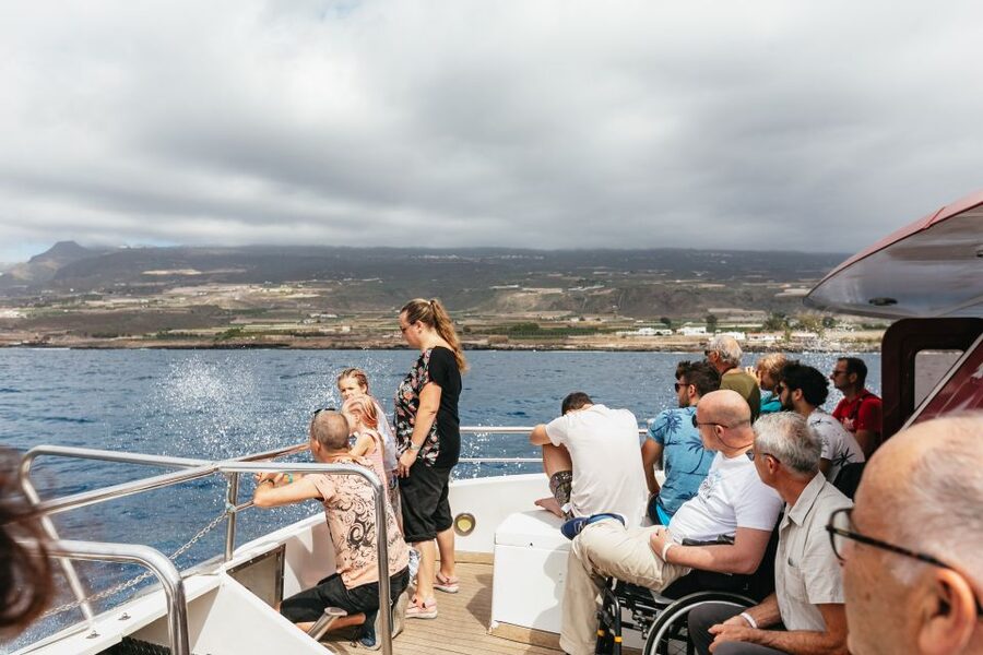 Adeje: Whale and Dolphin Watching Cruise with Lunch and Swim - Sea conditions, comfort, and what to pack