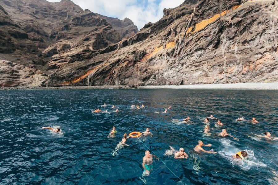 Adeje: Whale and Dolphin Watching Cruise with Lunch and Swim - Who will get the most from this cruise