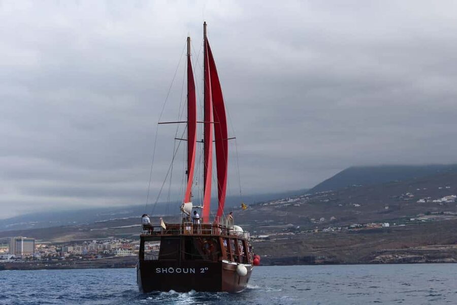 Adeje: Whale Watching Tour to Los Gigantes with lunch & swim - Lunch, drinks, and the boat atmosphere