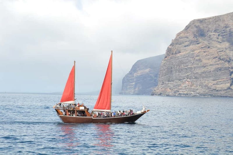 Adeje: Whale Watching Tour to Los Gigantes with lunch & swim - What the $63 price really covers
