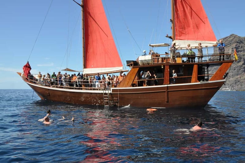 Adeje: Whale Watching Tour to Los Gigantes with lunch & swim - Should you book the Los Gigantes whale-watching tour?