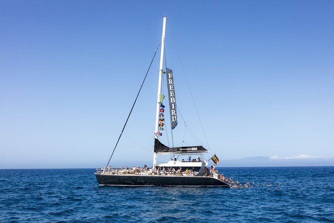 Adults Only Tenerife Freebird Whale Dolphin Catamaran with Lunch - Key points to know before you book