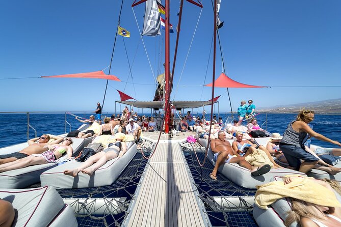 Adults Only Tenerife Freebird Whale Dolphin Catamaran with Lunch - Setting sail from Tenerife’s southern coast