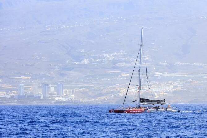 Adults Only Tenerife Freebird Whale Dolphin Catamaran with Lunch - The swim stop and snorkeling gear