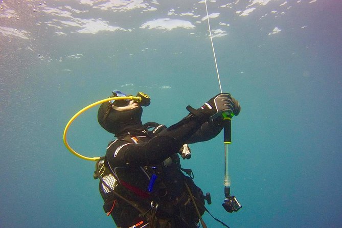 ADVANCED OPEN WATER CERTIFICATION - Improve your scuba diving skills up to 30m ! - Choosing the other three adventure subjects