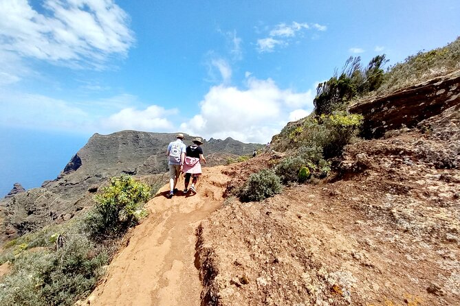 Amazing Anaga - Laurel forest, native plants, and changing scenery