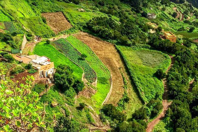 Anaga Private Tour: Valleys of Nature and Tradition - Pico del Inglés and the mountain viewpoints