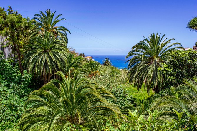 Anaga Private Tour: Valleys of Nature and Tradition - Who will enjoy this day most