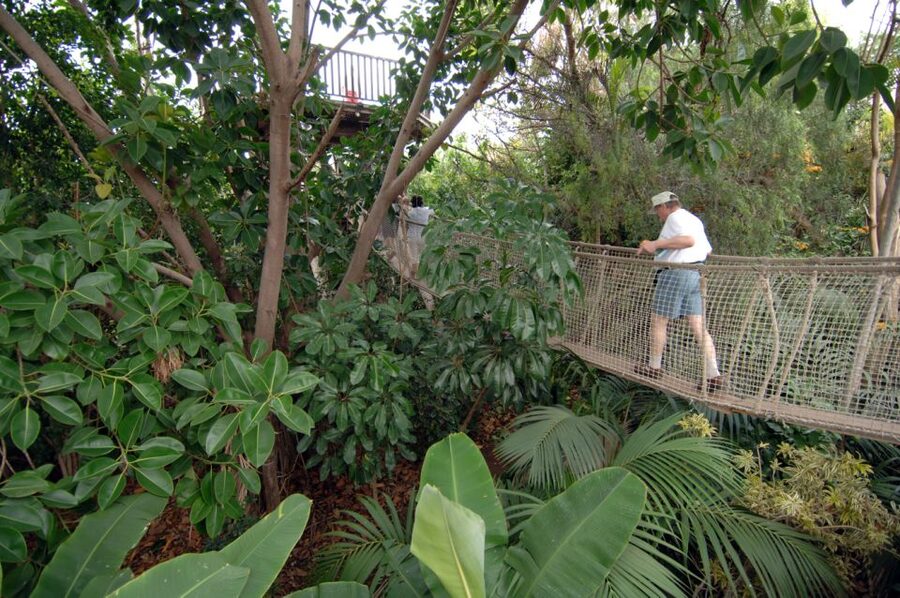 Arona: Entry Ticket to Tenerife's Jungle Park Zoo - A jungle-style zoo in the hills of Arona