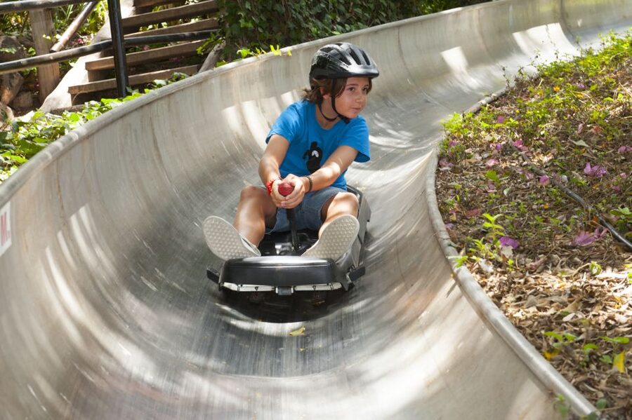 Arona: Entry Ticket to Tenerife's Jungle Park Zoo - Start early for the best show schedule
