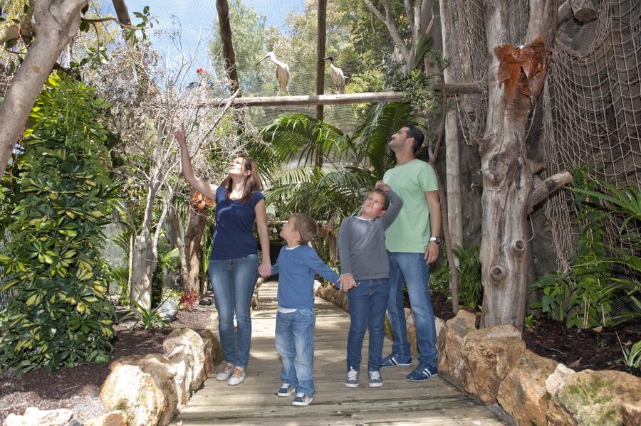 Arona: Entry Ticket to Tenerife's Jungle Park Zoo - Sea lions, penguins, and the main animal route