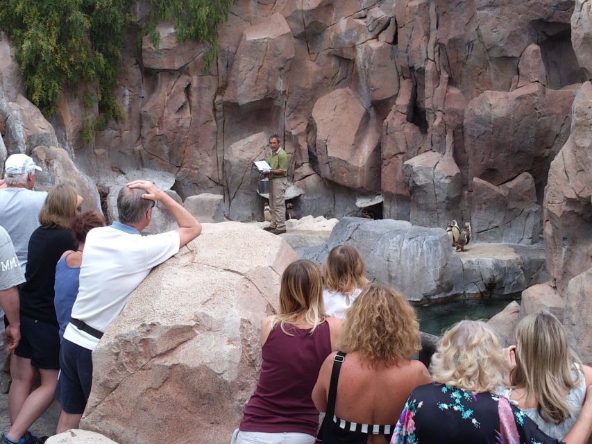 Arona: Entry Ticket to Tenerife's Jungle Park Zoo - Food, costs, and what the $41 ticket really buys