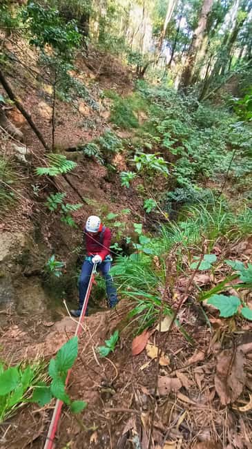 Barranquismo Tenerife: Canyoning Adventure - Key points at a glance