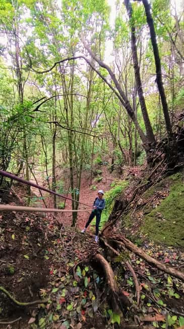 Barranquismo Tenerife: Canyoning Adventure - Should you book the Anaga canyoning experience?