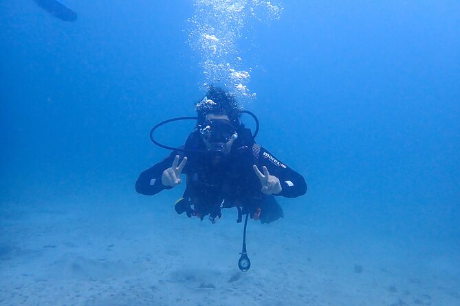 Basic Diver course for beginners with 1 dive in the Ocean - One ocean descent around Tenerife