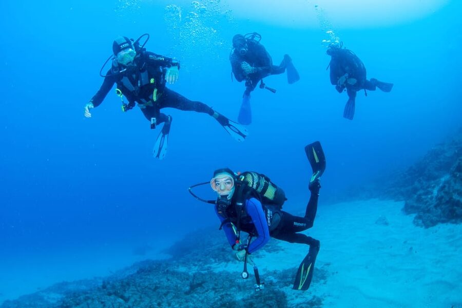 Beginner Scuba Dive with Scubapoint Tenerife in Turtle Area - A gentle first step into Tenerife’s Atlantic