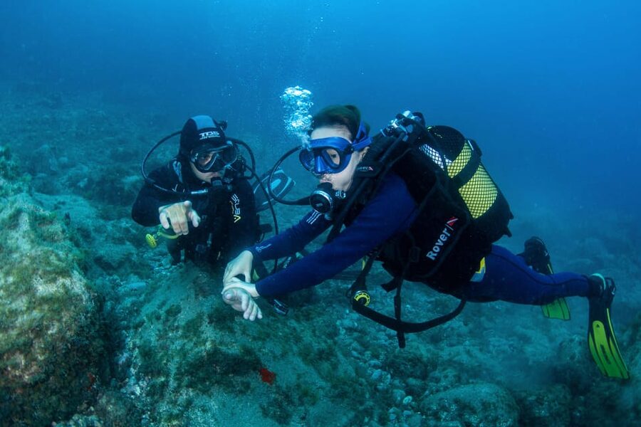 Beginner Scuba Dive with Scubapoint Tenerife in Turtle Area - What happens at Puerto Colón