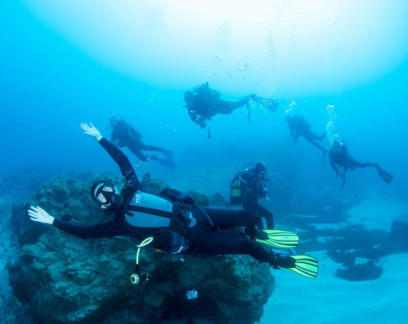 Beginner Scuba Dive with Scubapoint Tenerife in Turtle Area - The boat trip to the turtle area