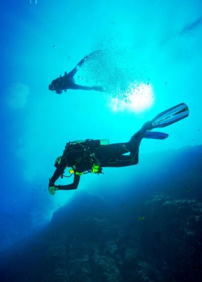 Beginner Scuba Dive with Scubapoint Tenerife in Turtle Area