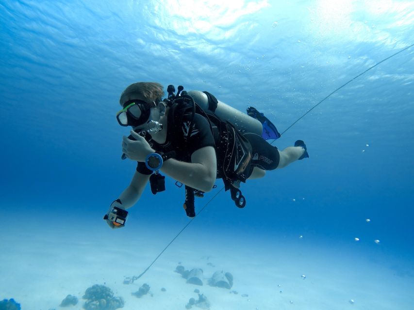 Beginner Scuba Dive with Scubapoint Tenerife in Turtle Area - Underwater with a certified PADI instructor