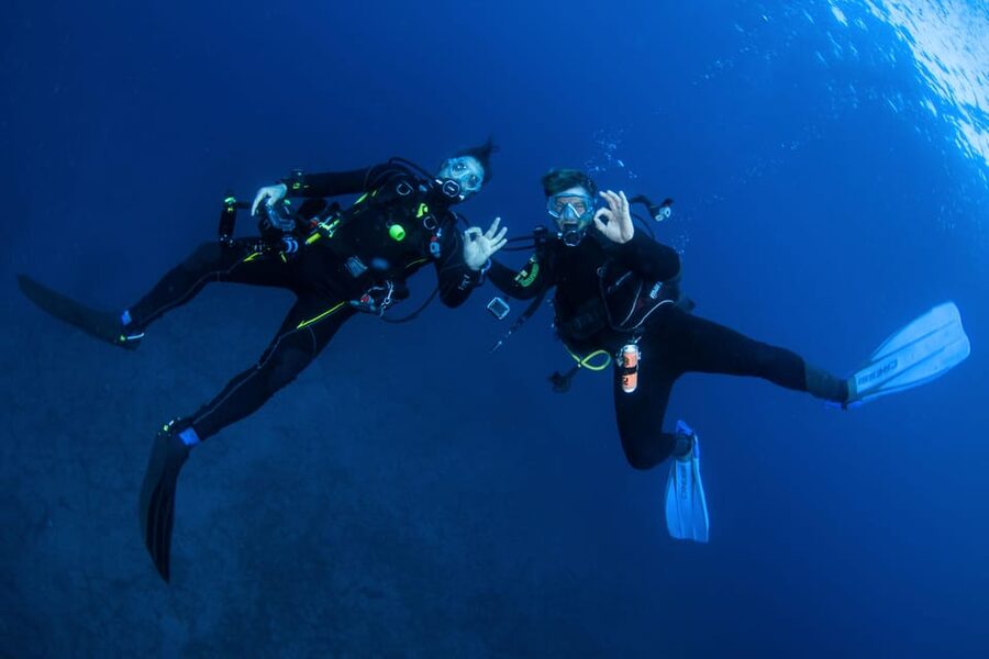 Beginner Scuba Dive with Scubapoint Tenerife in Turtle Area - Marine life and the limits of wildlife viewing