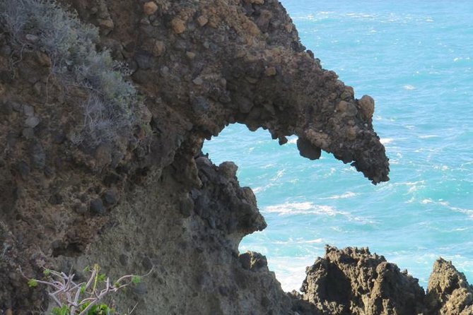 Boat Excursion to visit underwater lava tongues - Why the lava tongues are worth your time