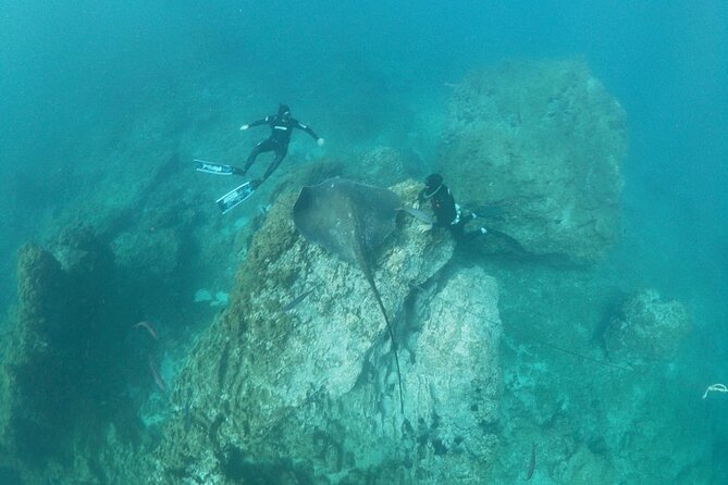 Boat Excursion to visit underwater lava tongues - Who will get the most from this boat trip?
