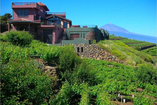 Bodegas Monje Winery Ticket w/Wine Tasting & Mojo Sauce Workshop - Making coriander, parsley, and red mojo