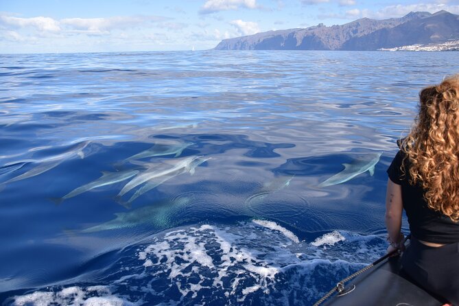 Bonadea II Ecological Whale Watching, 2 hours - Meet captain Sergio and ask questions