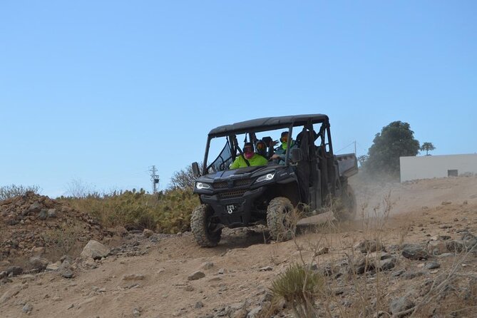 Buggy or Quad Tour Volcano Teide in Teide National Park - What to expect from the vehicles