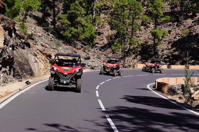 Buggy tour to Teide in Tenerife - Riding from the coast toward Teide