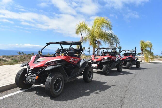 Buggy tour to Teide in Tenerife - Cho and the question of dirt roads