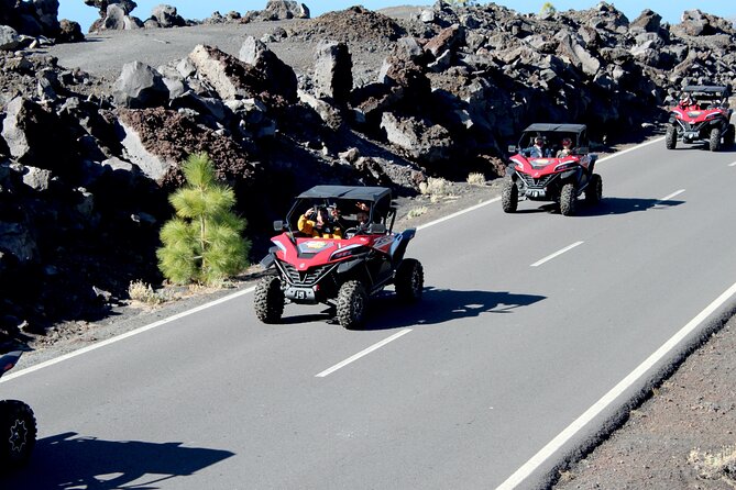 Buggy tour to Teide in Tenerife - Group size, children, and shared cost