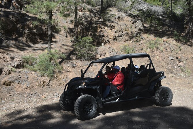 Buggy tour to Teide in Tenerife - What is included, and what is not