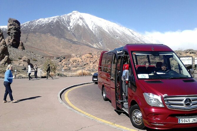 Cabrio Bus Full Day Guided Tour of Teide (SOUTH ONLY) - Key points to know before booking