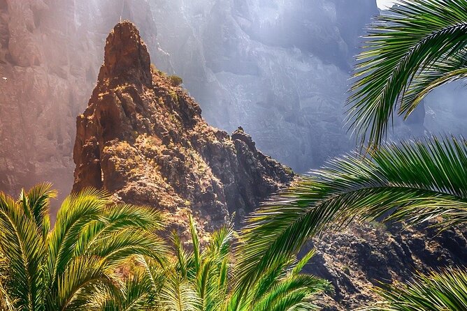Cabrio Bus Full Day Guided Tour of Teide (SOUTH ONLY) - Vilaflor, the high village on the way south