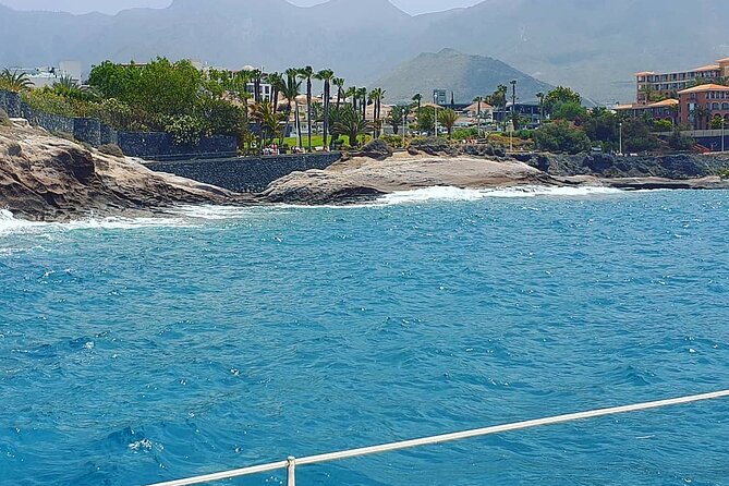 CATAMARAN OCEAN CRUISE TOUR, Food & Drinks included! - Playa de los Hippies, swimming, and the Tenerife view