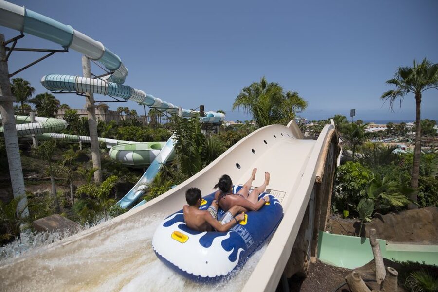 Costa Adeje: Aqualand Water Park Ticket with Dolphin Show - Making time for the dolphin show