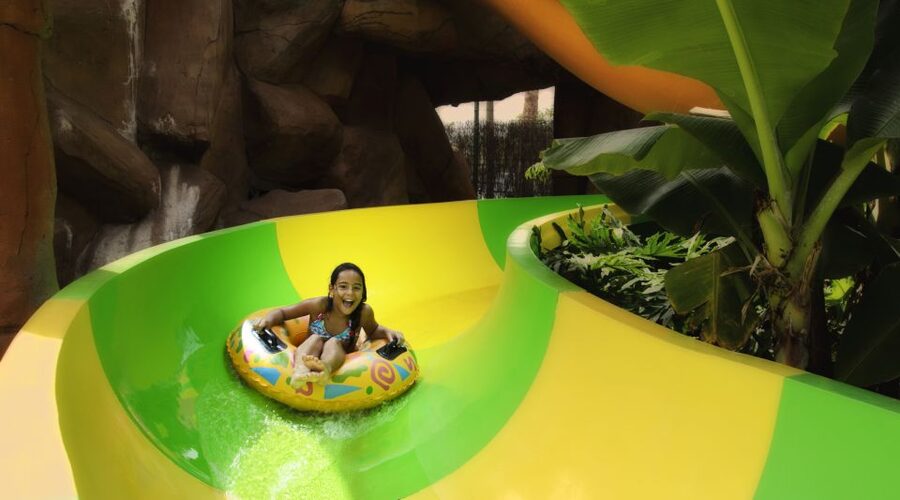 Costa Adeje: Aqualand Water Park Ticket with Dolphin Show - Opening hours and how to plan your day