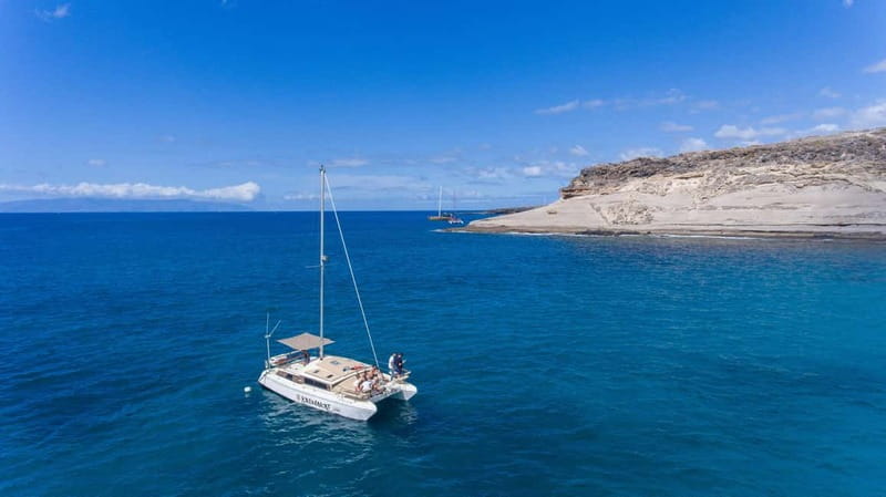 Costa Adeje: Catamaran Tour, Snorkelling, Snacks & Drinks - Wildlife watching, with realistic expectations