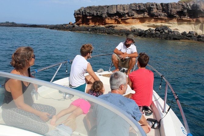 Costa Adeje | Cetacean sighting in Tenerife South - Key things to know before you book