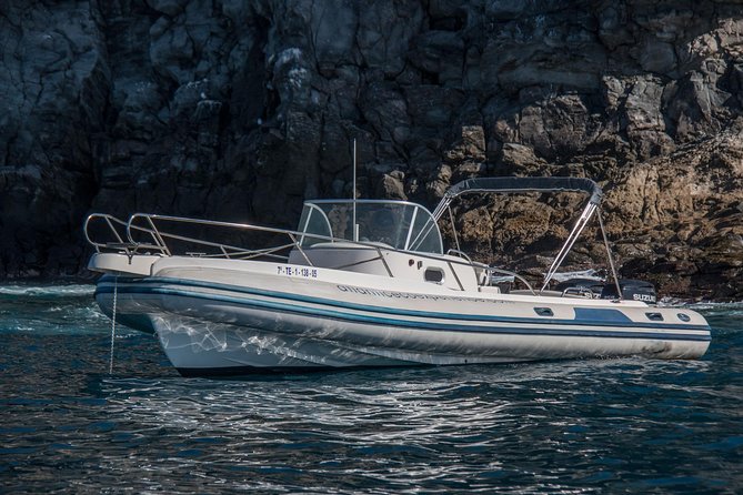 Costa Adeje | Cetacean sighting in Tenerife South - Why the small group matters