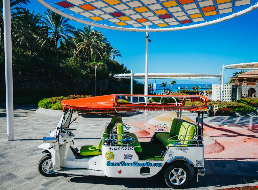 Costa Adeje: Double Tuk Tuk Tour - The high viewpoint over southern Tenerife