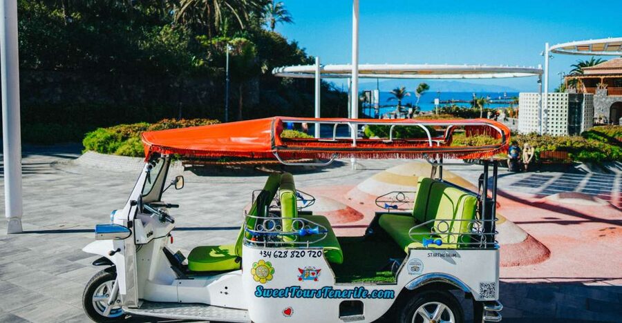 Costa Adeje: Double Tuk Tuk Tour - What the guides add to the ride